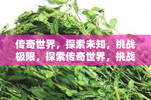 传奇世界,探索未知,挑战极限,探索传奇世界,挑战未知极限 传奇世界,探索未知,挑战极限,探索传奇世界,挑战未知极限