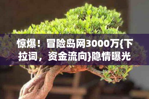 冒险岛网3000万图片