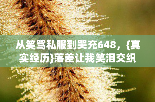 从笑骂私服到哭充648图片