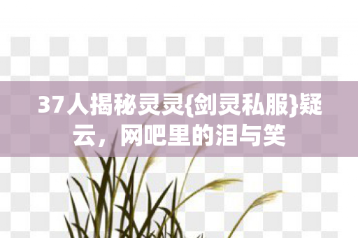37人揭秘灵灵图片