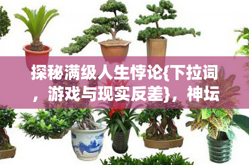 神坛之巅与深渊之底图片