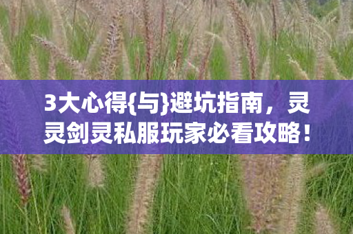 灵灵剑灵私服玩家必看攻略图片