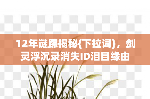 剑灵浮沉录消失ID泪目缘由图片