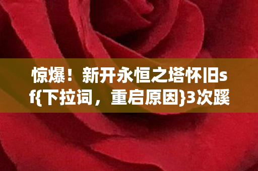 新开永恒之塔怀旧sf图片