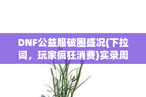 DNF公益服破圈盛况图片