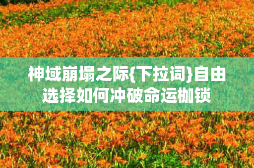 自由选择如何冲破命运枷锁图片