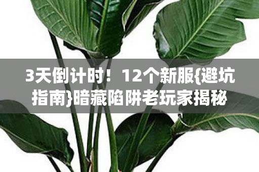 暗藏陷阱老玩家揭秘图片