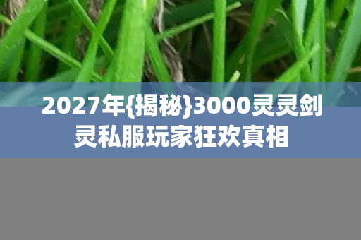 3000灵灵剑灵私服玩家狂欢真相图片