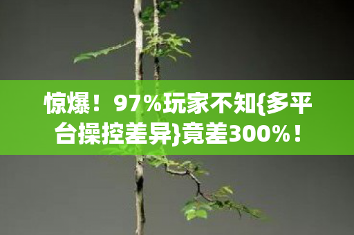 多平台操控差异图片