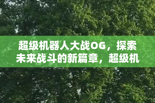 超级机器人大战OG，探索未来战斗的新篇章，超级机器人大战OG，未来战斗新篇章探索