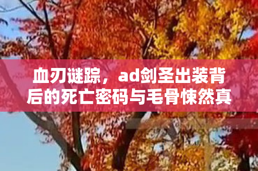 血刃谜踪,ad剑圣出装背后的死亡密码与毛骨悚然真相 血刃谜踪,ad剑圣出装背后的死亡密码与毛骨悚然真相