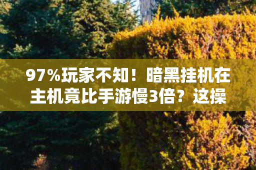 97%玩家不知！暗黑挂机在主机竟比手游慢3倍？这操作反差绝了
