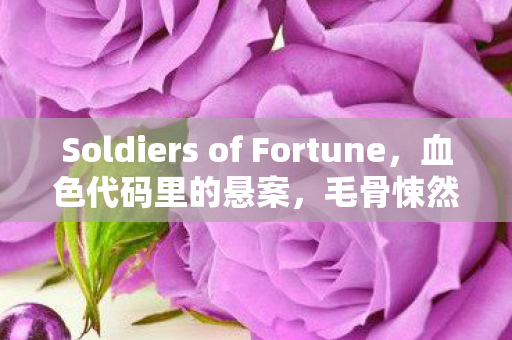 Soldiers of Fortune，血色代码里的悬案，毛骨悚然自戕真相