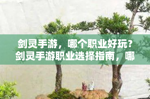 剑灵手游,哪个职业好玩?剑灵手游职业选择指南,哪个职业最适合你? 剑灵手游,哪个职业好玩?剑灵手游职业选择指南,哪个职业最适合你?