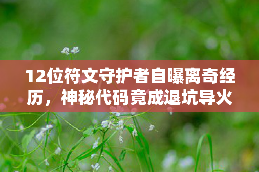 12位符文守护者自曝离奇经历，神秘代码竟成退坑导火索？我当场绷不住了！