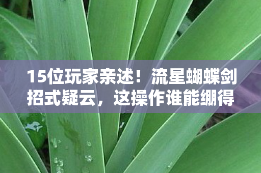 15位玩家亲述！流星蝴蝶剑招式疑云，这操作谁能绷得住？