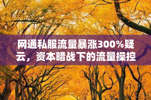 网通私服流量暴涨300%疑云,资本暗战下的流量操控,玩家心寒真相 网通私服流量暴涨300%疑云,资本暗战下的流量操控,玩家心寒真相