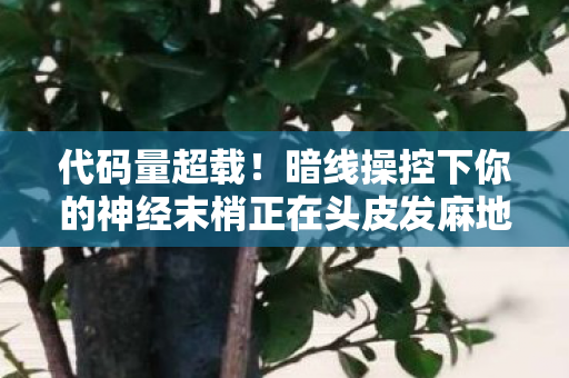 代码量超载！暗线操控下你的神经末梢正在头皮发麻地叛变