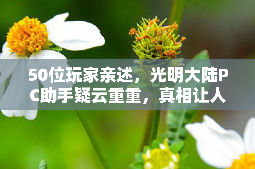 50位玩家亲述,光明大陆PC助手疑云重重,真相让人绷不住! 50位玩家亲述,光明大陆PC助手疑云重重,真相让人绷不住!