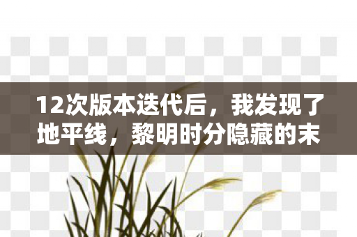 12次版本迭代后,我发现了地平线,黎明时分隐藏的末日真相 12次版本迭代后,我发现了地平线,黎明时分隐藏的末日真相