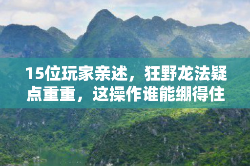 15位玩家亲述，狂野龙法疑点重重，这操作谁能绷得住？