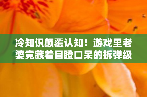 冷知识颠覆认知!游戏里老婆竟藏着目瞪口呆的拆弹级设计 冷知识颠覆认知!游戏里老婆竟藏着目瞪口呆的拆弹级设计