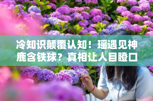 冷知识颠覆认知！瑶遇见神鹿含铁球？真相让人目瞪口呆！
