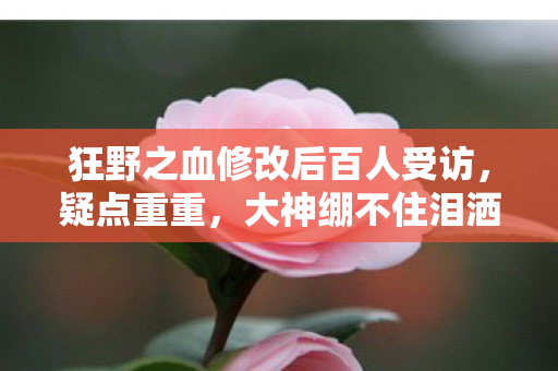狂野之血修改后百人受访,疑点重重,大神绷不住泪洒网吧 狂野之血修改后百人受访,疑点重重,大神绷不住泪洒网吧