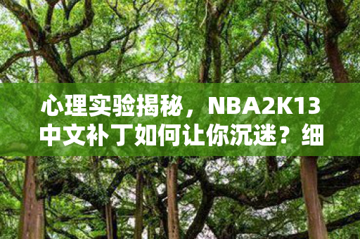 心理实验揭秘，NBA2K13中文补丁如何让你沉迷？细思极恐！