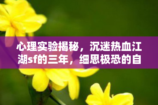 心理实验揭秘，沉迷热血江湖sf的三年，细思极恐的自我囚禁