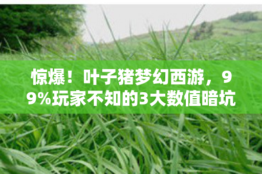 惊爆!叶子猪梦幻西游,99%玩家不知的3大数值暗坑,策划藏太深! 惊爆!叶子猪梦幻西游,99%玩家不知的3大数值暗坑,策划藏太深!