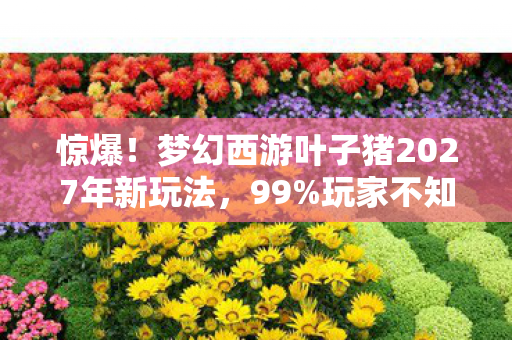 惊爆!梦幻西游叶子猪2027年新玩法,99%玩家不知的隐藏福利? 惊爆!梦幻西游叶子猪2027年新玩法,99%玩家不知的隐藏福利?