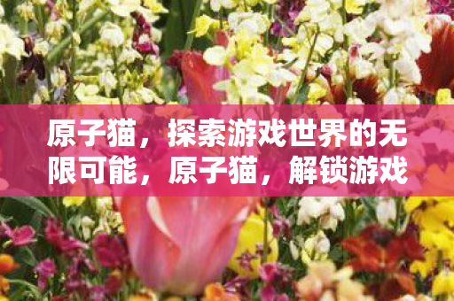 原子猫,探索游戏世界的无限可能,原子猫,解锁游戏世界的无限潜能 原子猫,探索游戏世界的无限可能,原子猫,解锁游戏世界的无限潜能