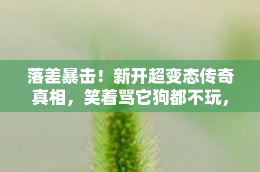 落差暴击！新开超变态传奇真相，笑着骂它狗都不玩，笑着笑着就哭了