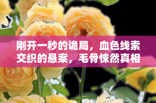 刚开一秒的诡局，血色线索交织的悬案，毛骨悚然真相待揭