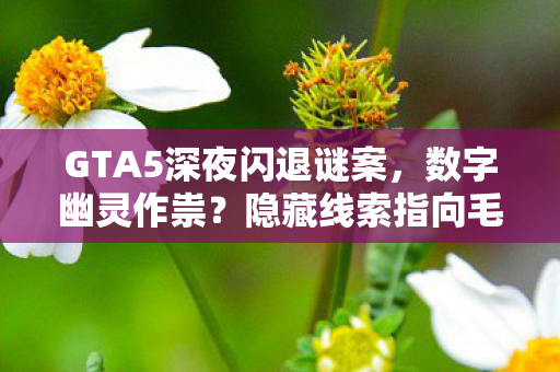 GTA5深夜闪退谜案,数字幽灵作祟?隐藏线索指向毛骨悚然真相 GTA5深夜闪退谜案,数字幽灵作祟?隐藏线索指向毛骨悚然真相