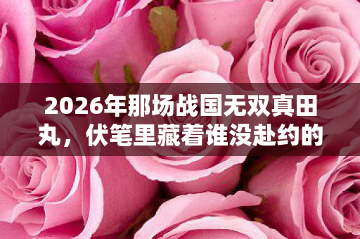 2026年那场战国无双真田丸,伏笔里藏着谁没赴约的青春,鼻子一酸 2026年那场战国无双真田丸,伏笔里藏着谁没赴约的青春,鼻子一酸