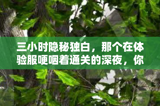 三小时隐秘独白,那个在体验服哽咽着通关的深夜,你还记得吗? 三小时隐秘独白,那个在体验服哽咽着通关的深夜,你还记得吗?