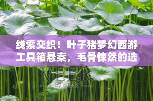 线索交织!叶子猪梦幻西游工具箱悬案,毛骨悚然的选择迷局 线索交织!叶子猪梦幻西游工具箱悬案,毛骨悚然的选择迷局