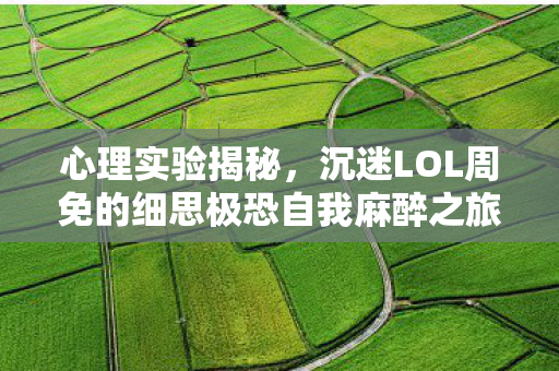 心理实验揭秘,沉迷LOL周免的细思极恐自我麻醉之旅 心理实验揭秘,沉迷LOL周免的细思极恐自我麻醉之旅