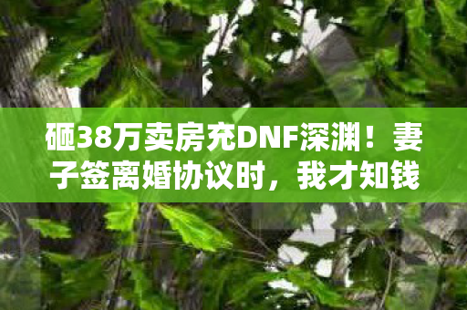 砸38万卖房充DNF深渊!妻子签离婚协议时,我才知钱都喂了狗! 砸38万卖房充DNF深渊!妻子签离婚协议时,我才知钱都喂了狗!