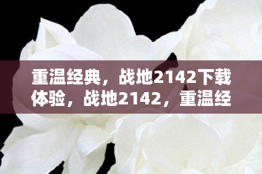 重温经典,战地2142下载体验,战地2142,重温经典,下载体验震撼来袭 重温经典,战地2142下载体验,战地2142,重温经典,下载体验震撼来袭
