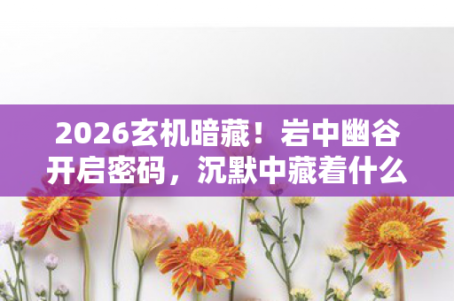2026玄机暗藏!岩中幽谷开启密码,沉默中藏着什么惊天秘密? 2026玄机暗藏!岩中幽谷开启密码,沉默中藏着什么惊天秘密?