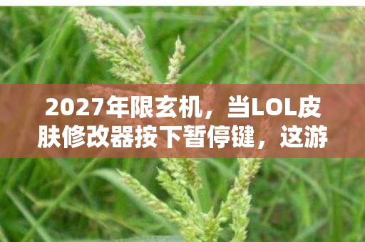 2027年限玄机,当LOL皮肤修改器按下暂停键,这游戏到底给了我什么? 2027年限玄机,当LOL皮肤修改器按下暂停键,这游戏到底给了我什么?