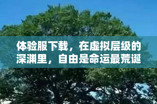 体验服下载,在虚拟层级的深渊里,自由是命运最荒诞的悖论 体验服下载,在虚拟层级的深渊里,自由是命运最荒诞的悖论