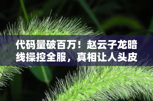 代码量破百万！赵云子龙暗线操控全服，真相让人头皮发麻