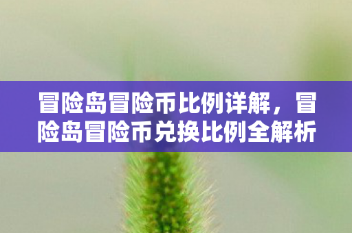 冒险岛冒险币比例详解,冒险岛冒险币兑换比例全解析 冒险岛冒险币比例详解,冒险岛冒险币兑换比例全解析
