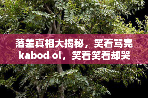 落差真相大揭秘,笑着骂完kabod ol,笑着笑着却哭了 落差真相大揭秘,笑着骂完kabod ol,笑着笑着却哭了