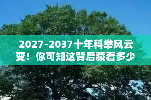 2027-2037十年科举风云变!你可知这背后藏着多少惊天秘密? 2027-2037十年科举风云变!你可知这背后藏着多少惊天秘密?