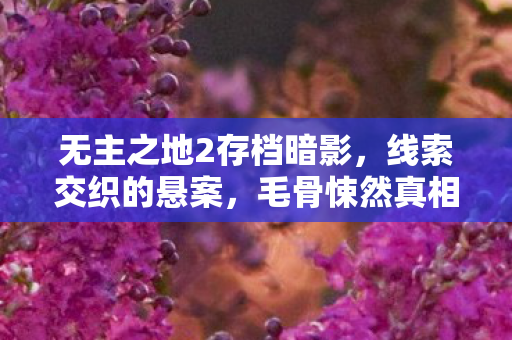 无主之地2存档暗影，线索交织的悬案，毛骨悚然真相待揭